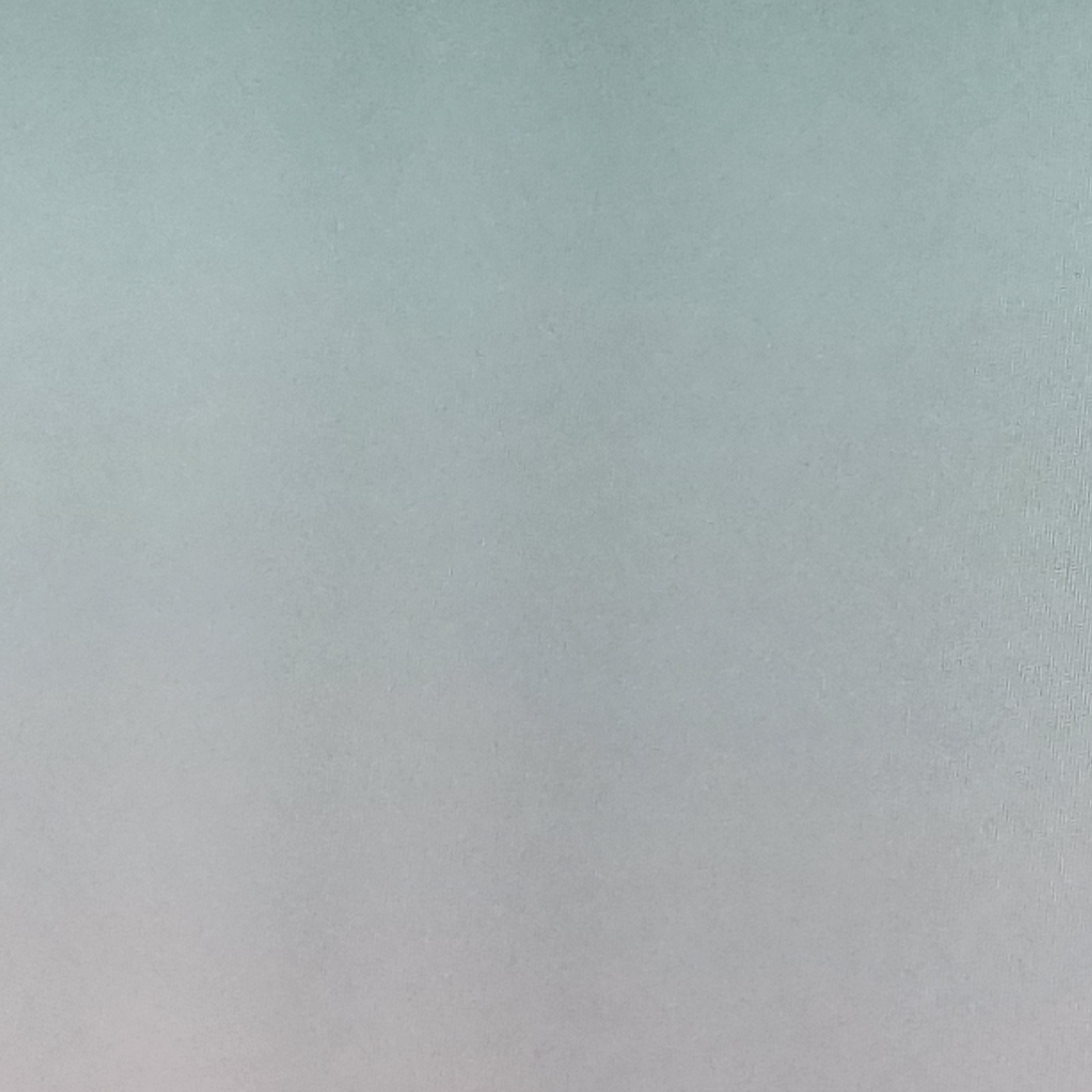 픽셀리 조직 대표 이미지