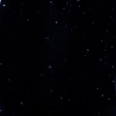 Profile image of ㅈㅅㅎ