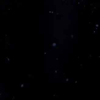 Profile image of ㅍㅁㅅ