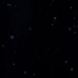 Profile image of ㅍㅎㅇ