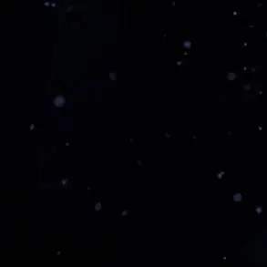 Profile image of ㅂㄱㅇ