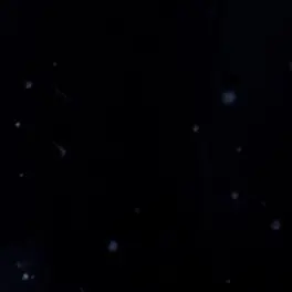 Profile image of ㅁㅁㅎ