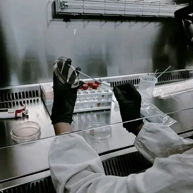 Profile image of Researcher