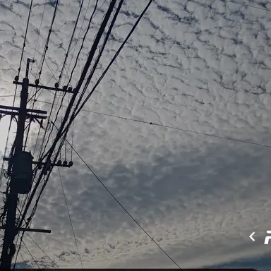 Profile image of モブ