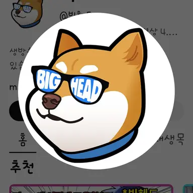Profile image of 빅헤드