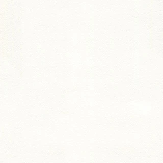ラウール先生