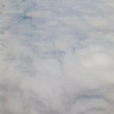 Profile image of 마젠타