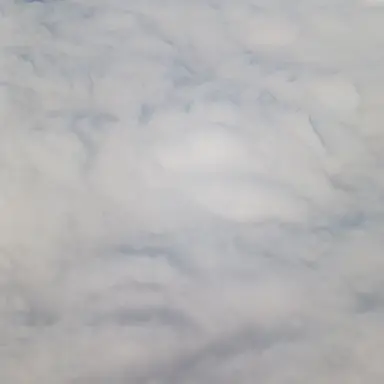 Profile image of 쵸단