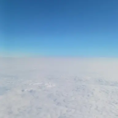 Profile image of 시연