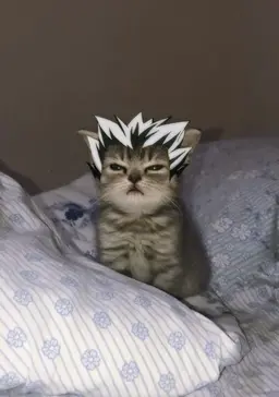 Profile image of Bokuto Kotaro