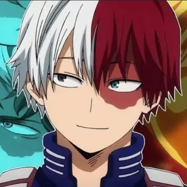 Profile image of Shoto Todoroki