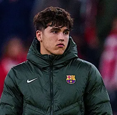 Profile image of Pau Cubarsi Paredes
