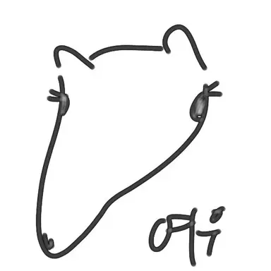 Profile image of 여우