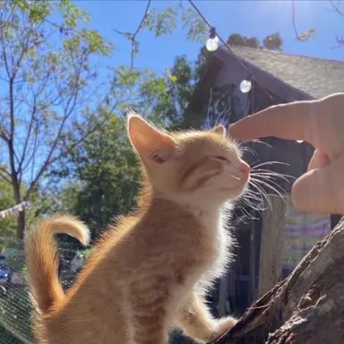 Profile image of ㅂㅅㅎ