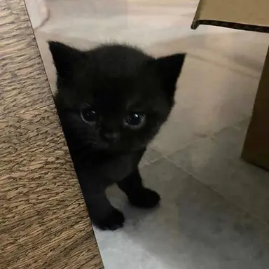 Profile image of ㅎㄷㅁ