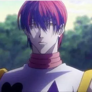 Profile image of ヒソカ