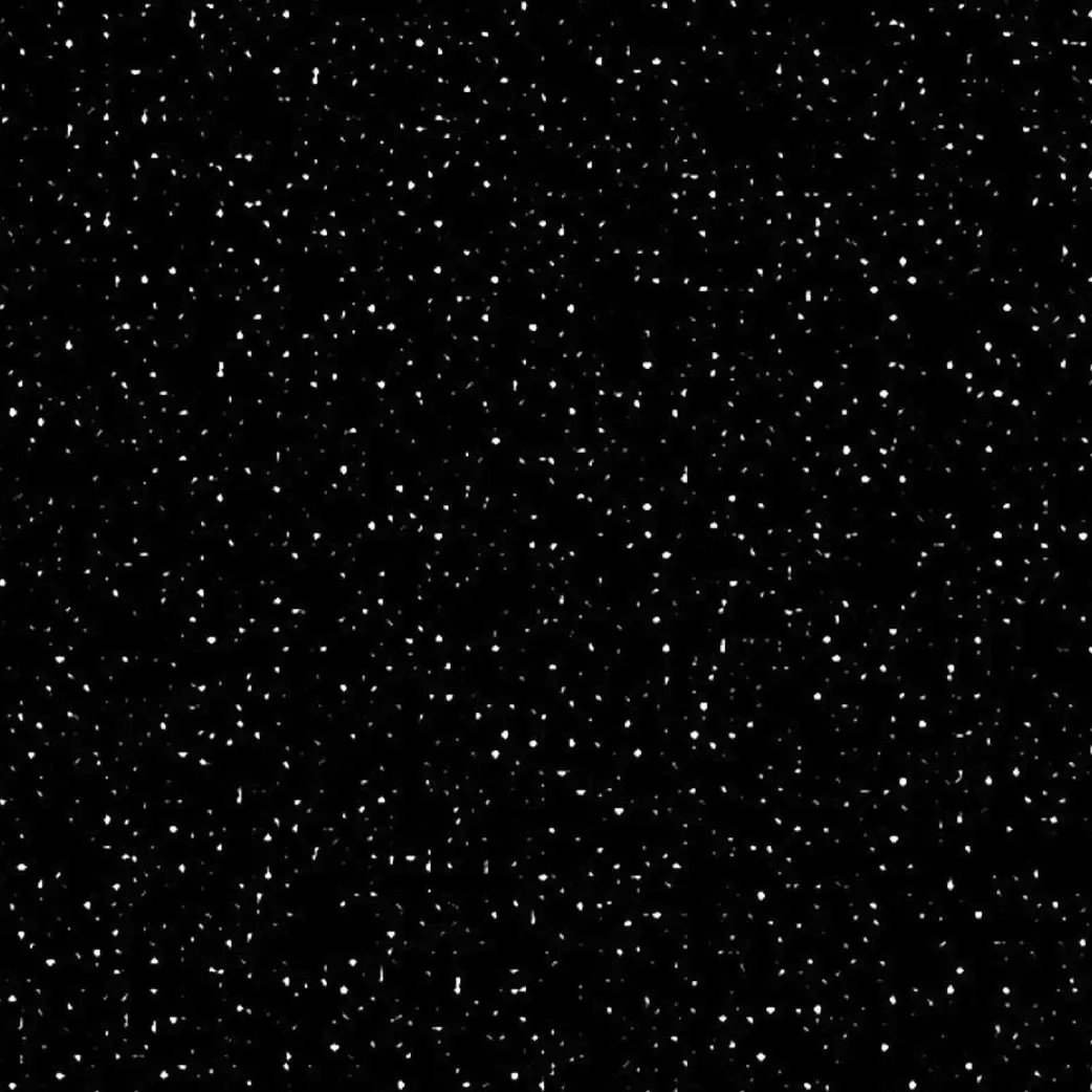 AcidicHoops4700의 きょもほく 分離不安症2