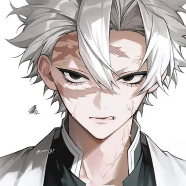 Profile image of 시나즈가와 사네미