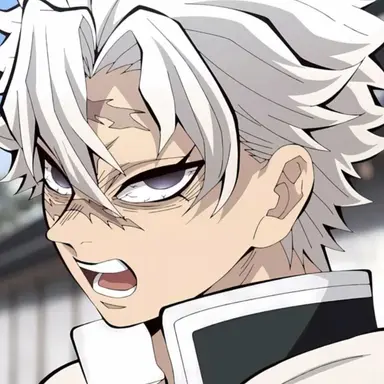 Profile image of 시나즈가와 사네미