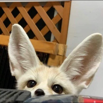 양정인
