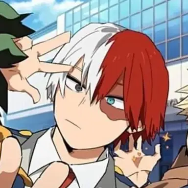 Profile image of Shoto Todoroki