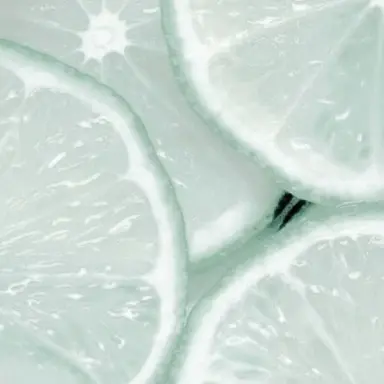 Profile image of 삐리뽀