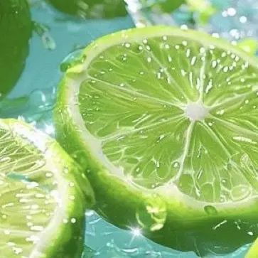 Profile image of 공룡