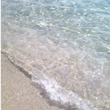 Profile image of 잠뜰