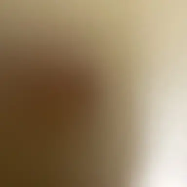 Profile image of 한둉민