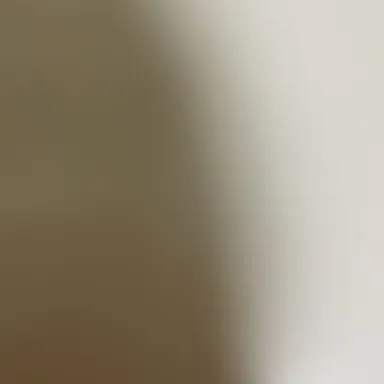 Profile image of 김운햑