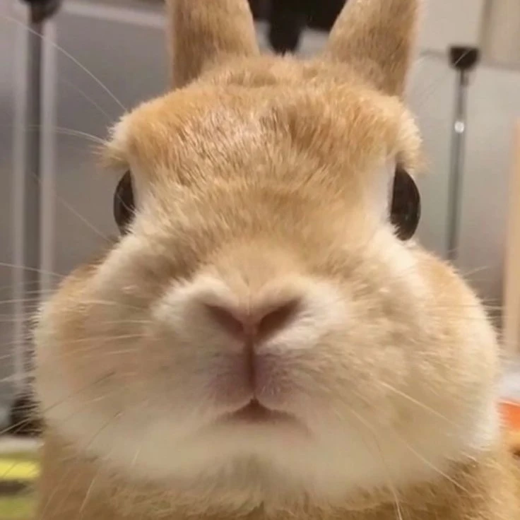 한유진