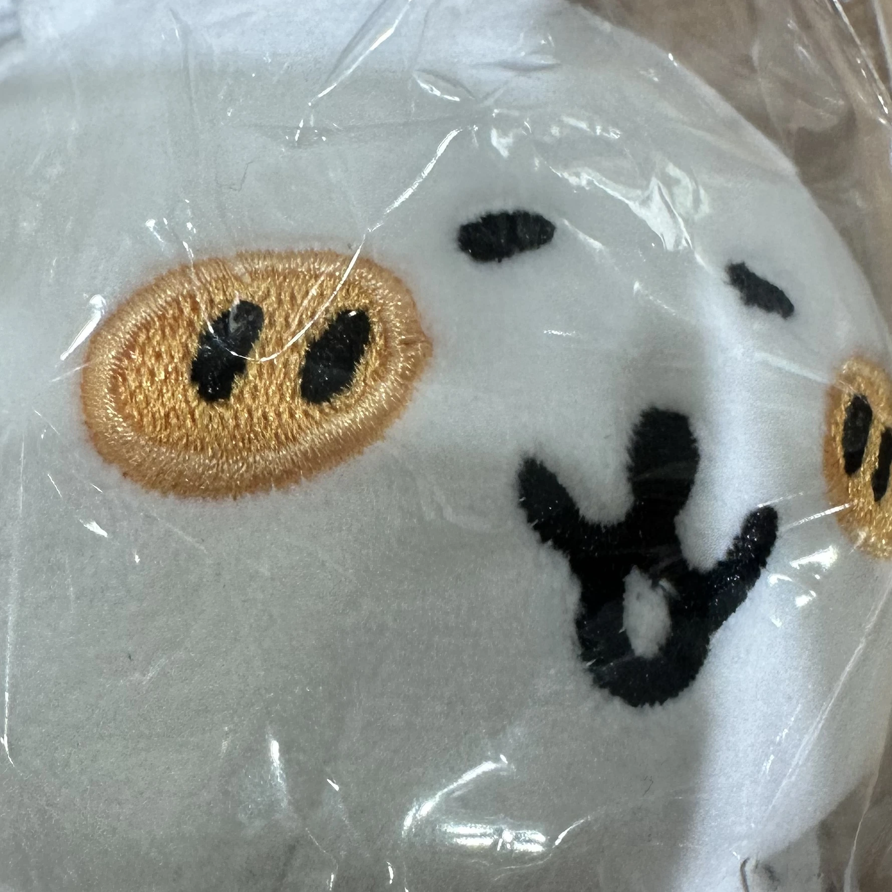한유진