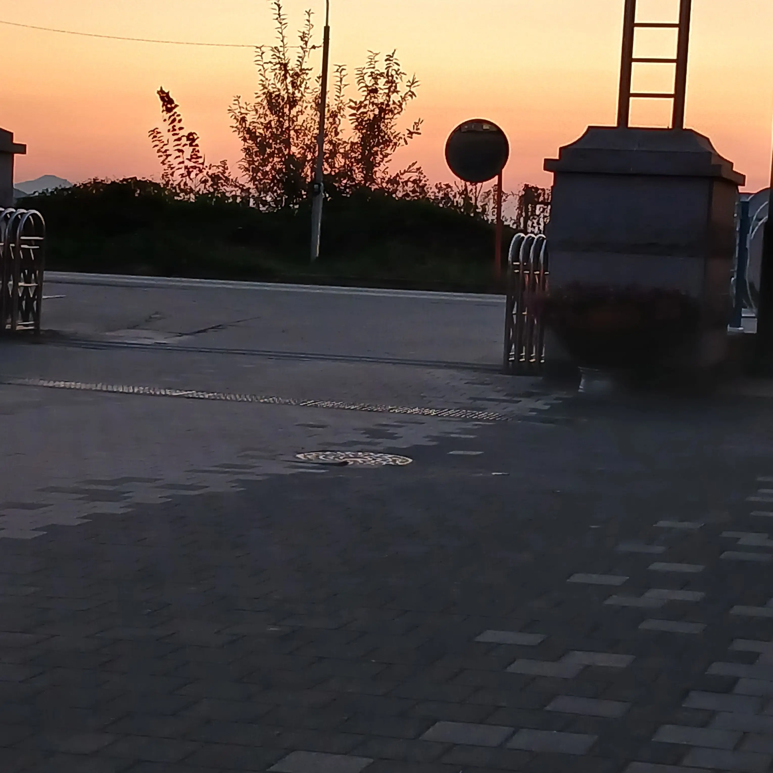 ProneFluff2479의 가족인데, 사랑을 독차지???