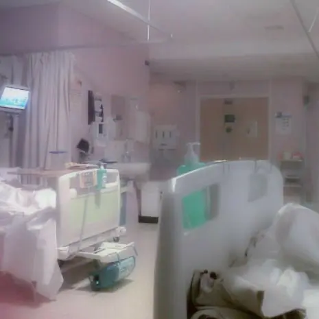 PuristScore9239의 얀데레와 멘헤라랑 같이 살아보자!