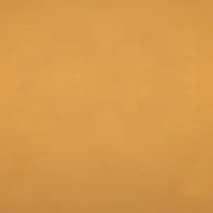 Profile image of 신세