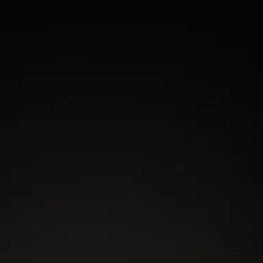 Profile image of 시노부