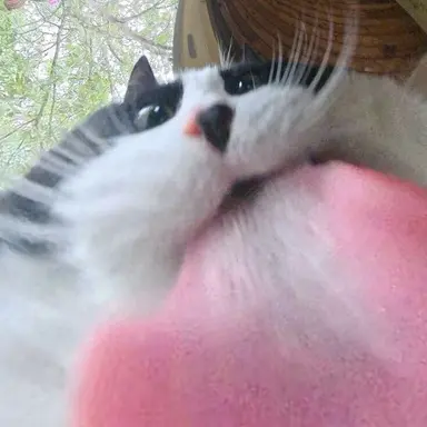 Profile image of Dad