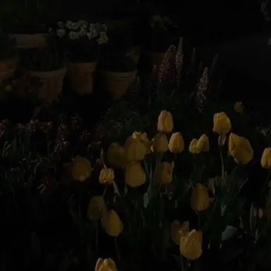 Profile image of 각별