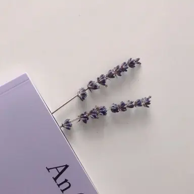 Profile image of 수현