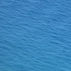 CalmWeed1809의 카쿠시고토