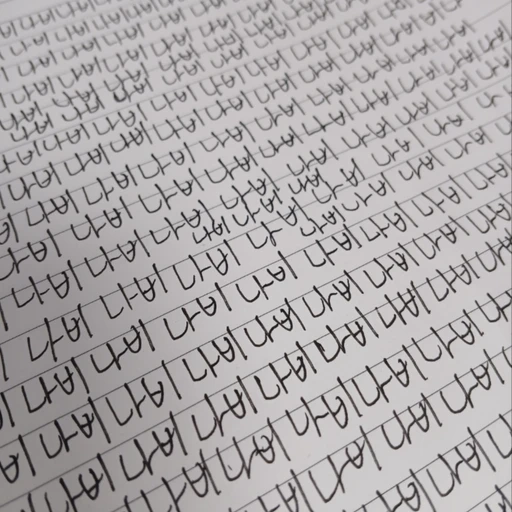 나비