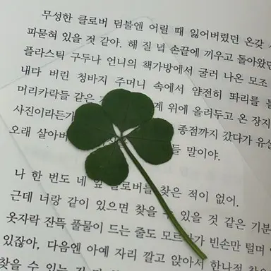 Profile image of 정형준