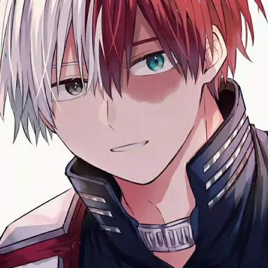 Profile image of Shoto Todoroki
