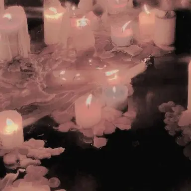 Profile image of ヨンボク