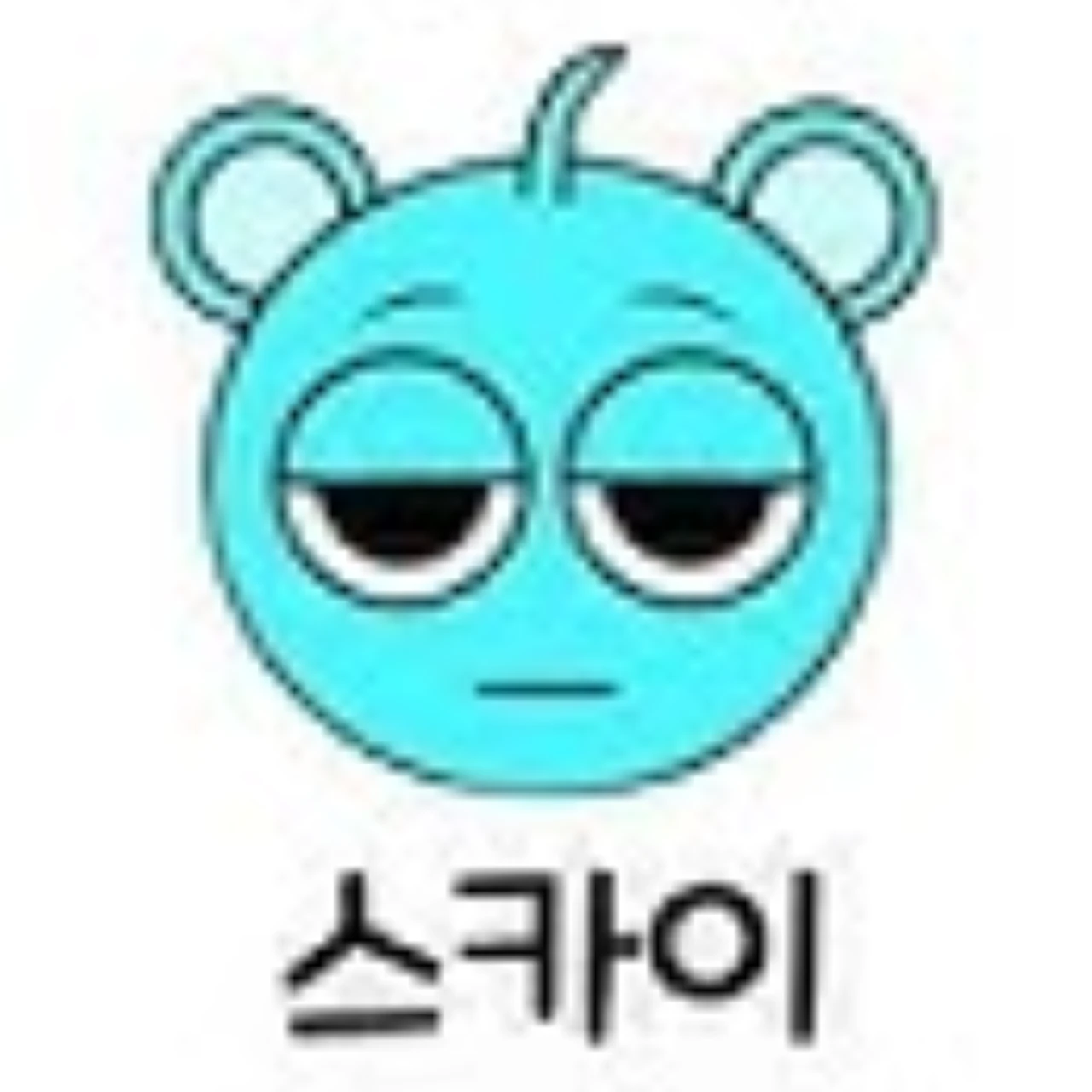 스카이
