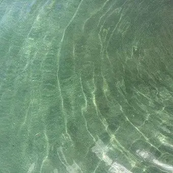 Profile image of 예엥