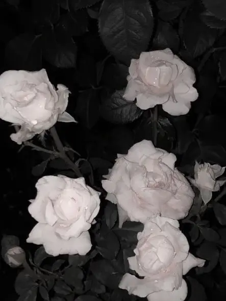 Xv_3e1의 🌱3️⃣