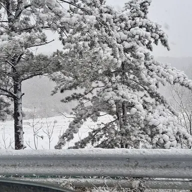 Profile image of 해설자