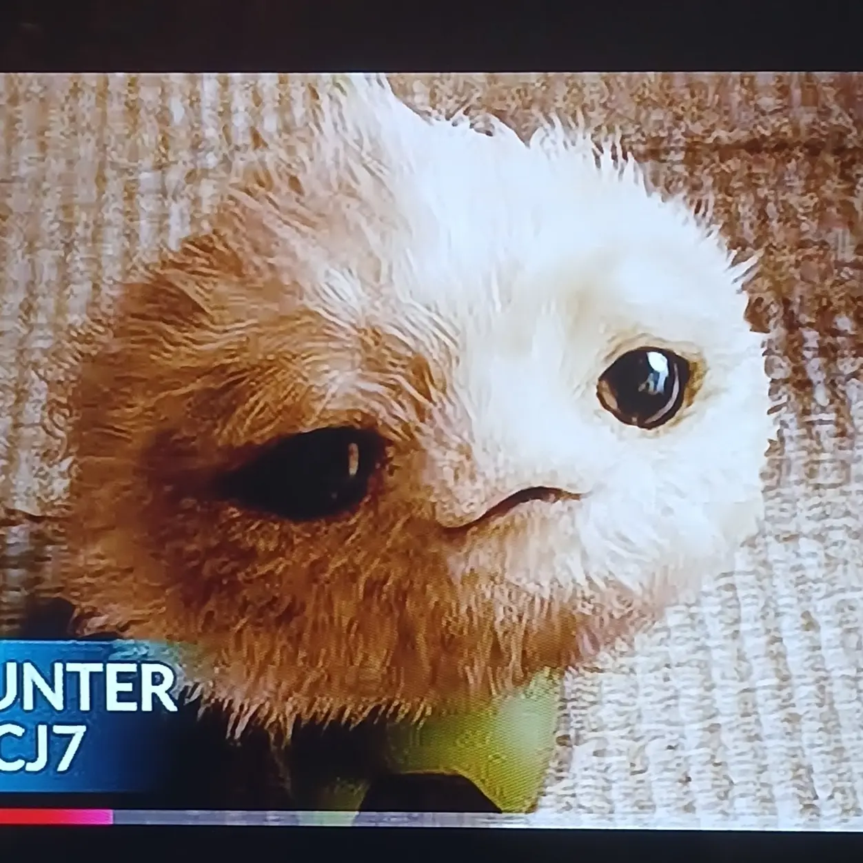 YummySign0435의 CJ7
