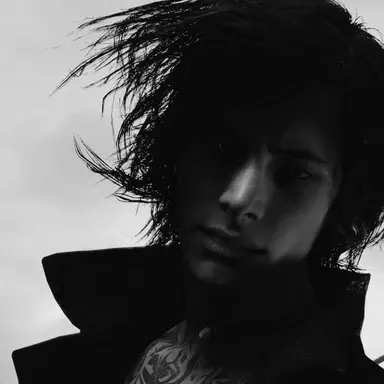 Profile image of V